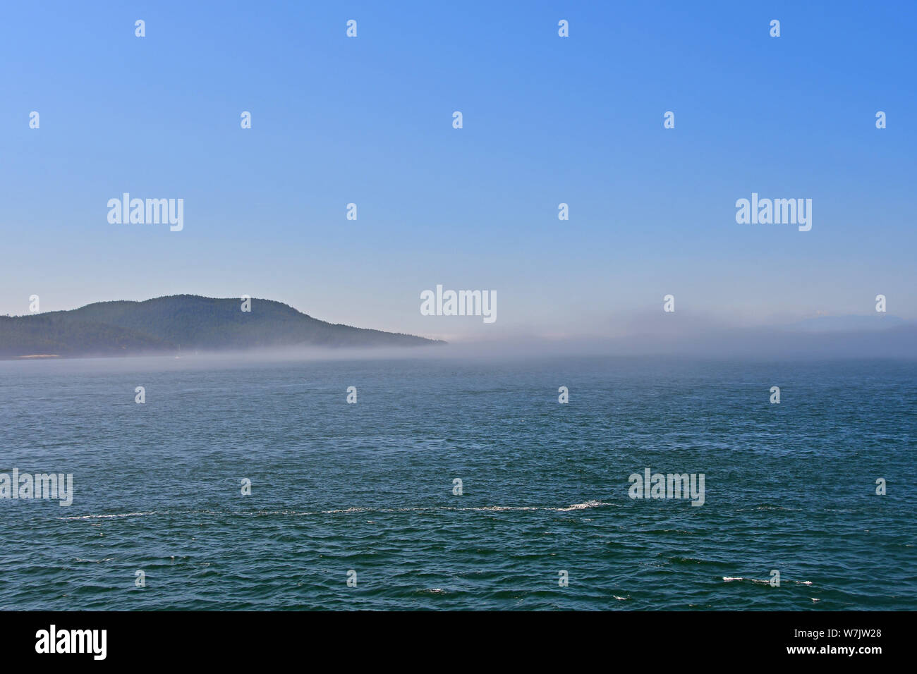 Matin brouillard sur la mer des Salish près de Anacortes, Washington, USA Banque D'Images