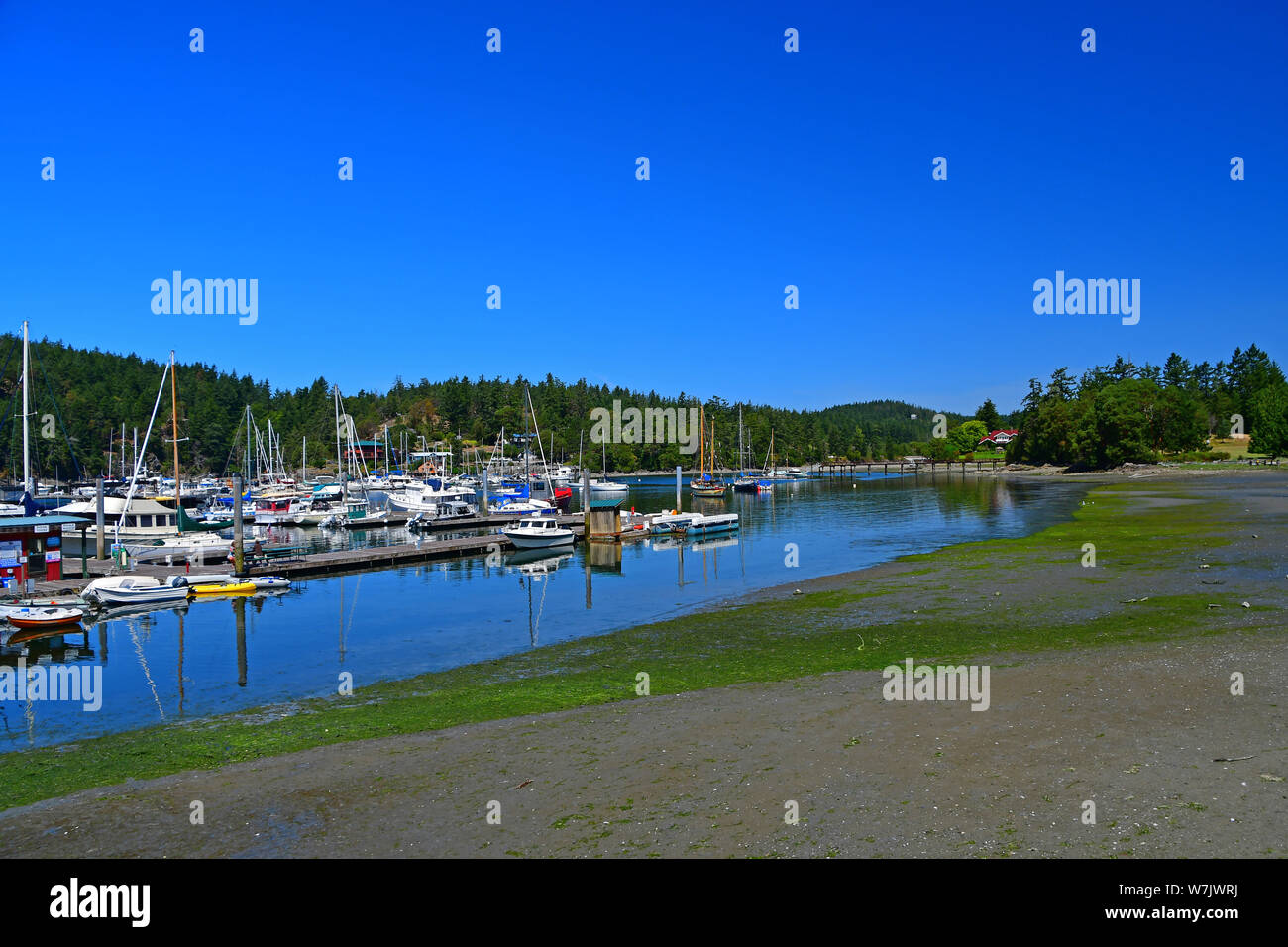 Avis de Deer Harbor Marina sur l'île Orcas, Washington, dans les îles de San Juan Banque D'Images