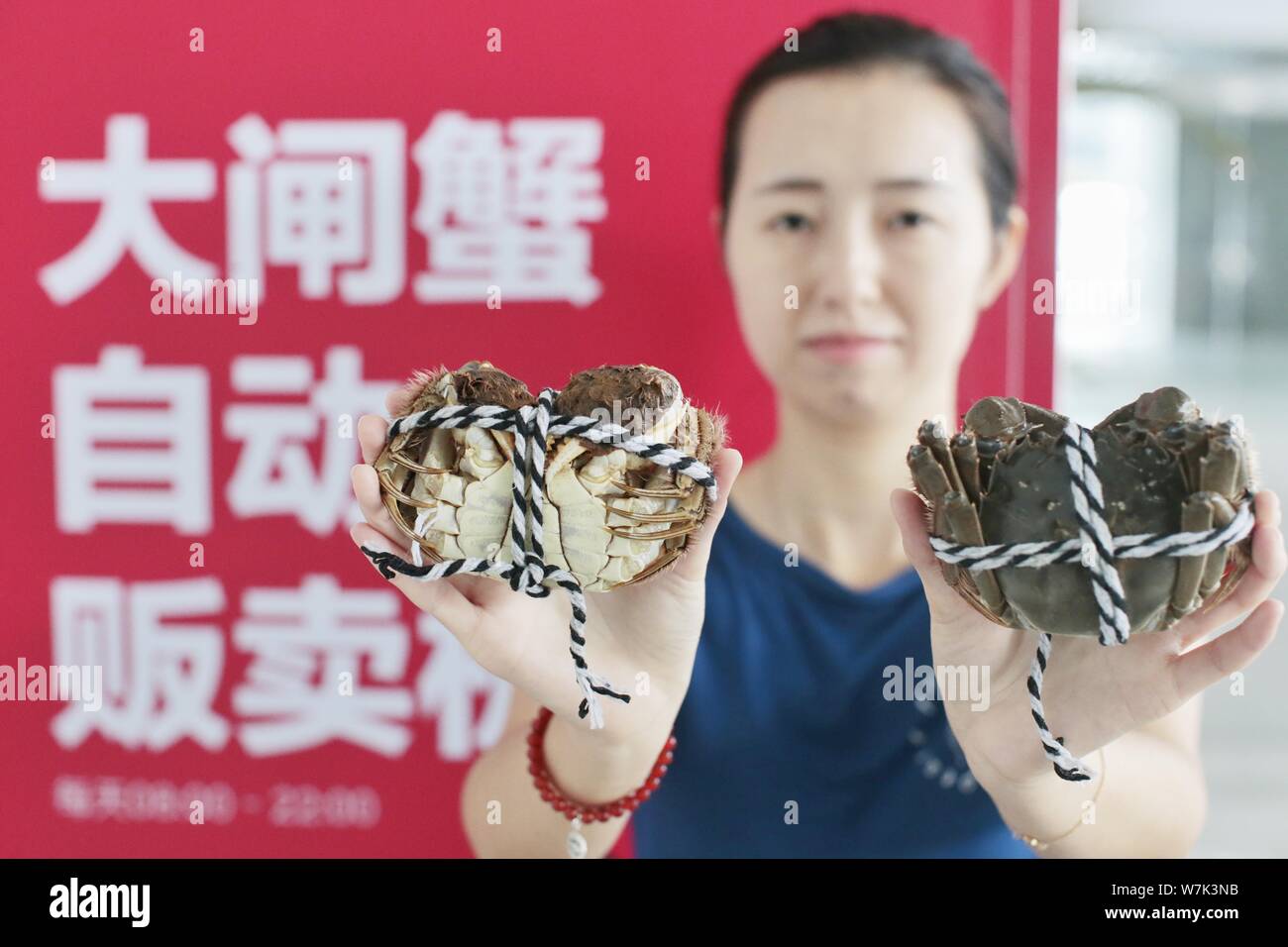 Un client chinois montre des crabes poilus acheté dans une machine distributrice au siège de Yiguo nourriture fraîche, un Alibaba de secours plate-forme e-commerce qui Banque D'Images