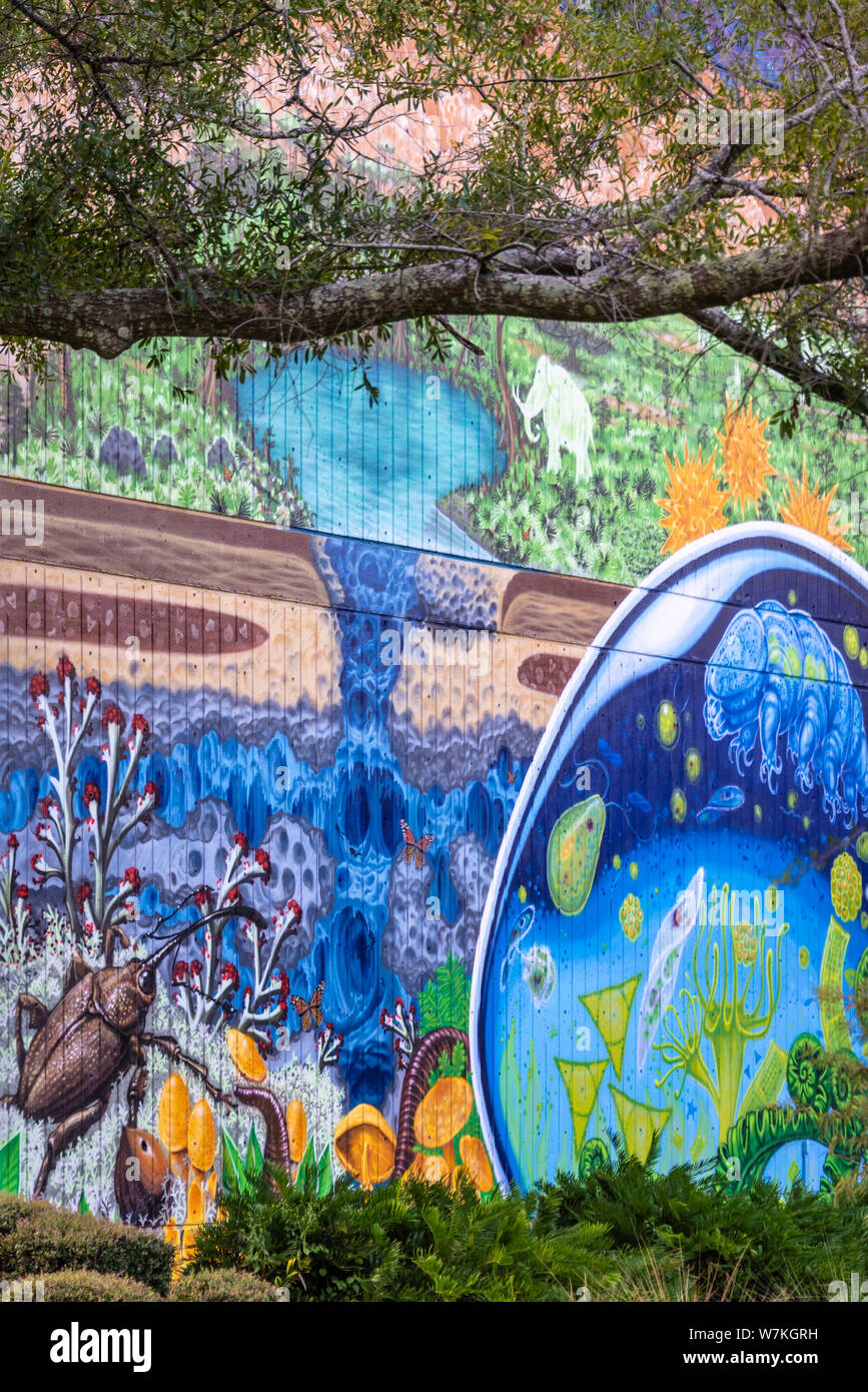 Murale peinte par Shaun Thurston au MOSH (musée des sciences et de l'histoire) dans le centre-ville de Jacksonville, Floride. (ÉTATS-UNIS) Banque D'Images