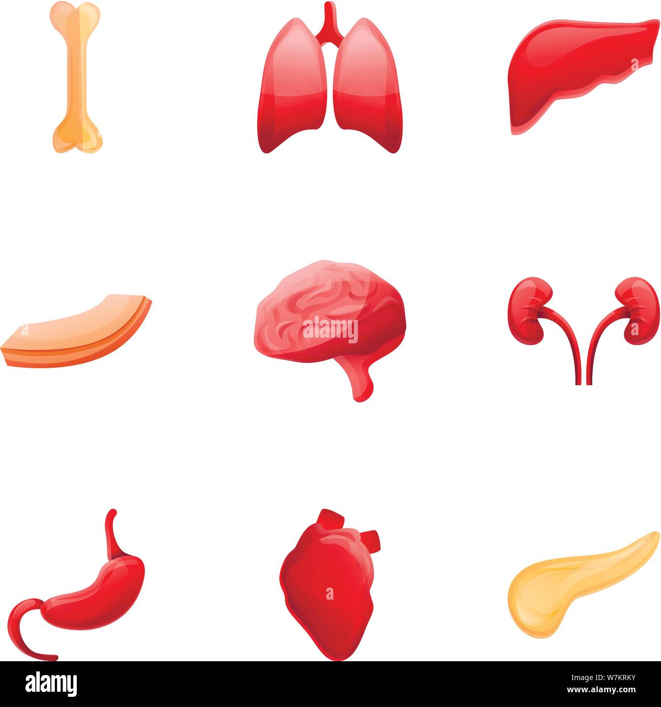 L'anatomie des organes humains icon set. Ensemble de 9 dessins d'anatomie des organes humains icônes vectorielles pour le web design isolé sur fond blanc Illustration de Vecteur