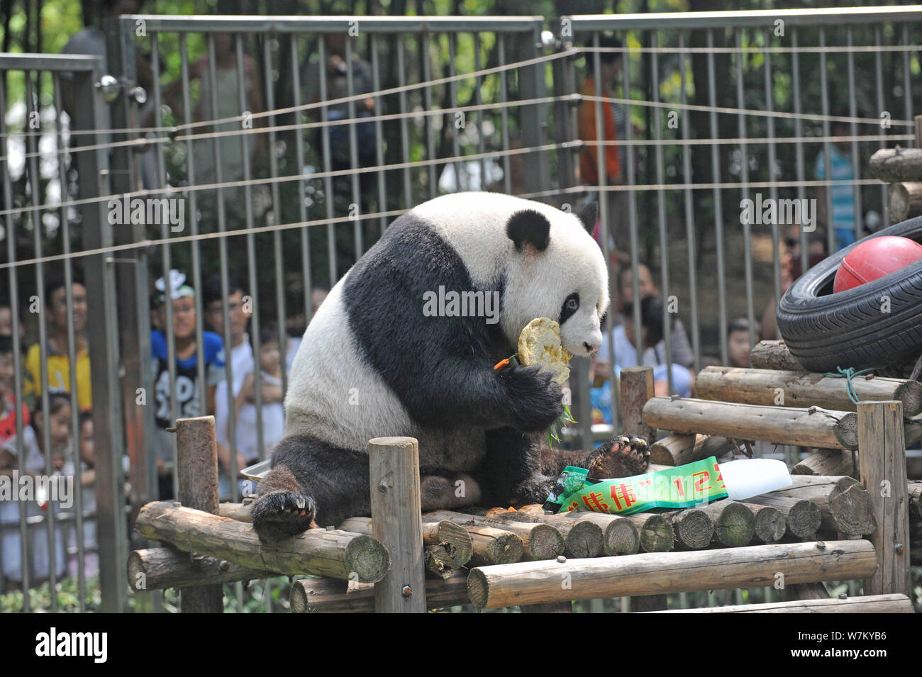 12th Birthday Banque De Photographies Et D Images A Haute Resolution Alamy