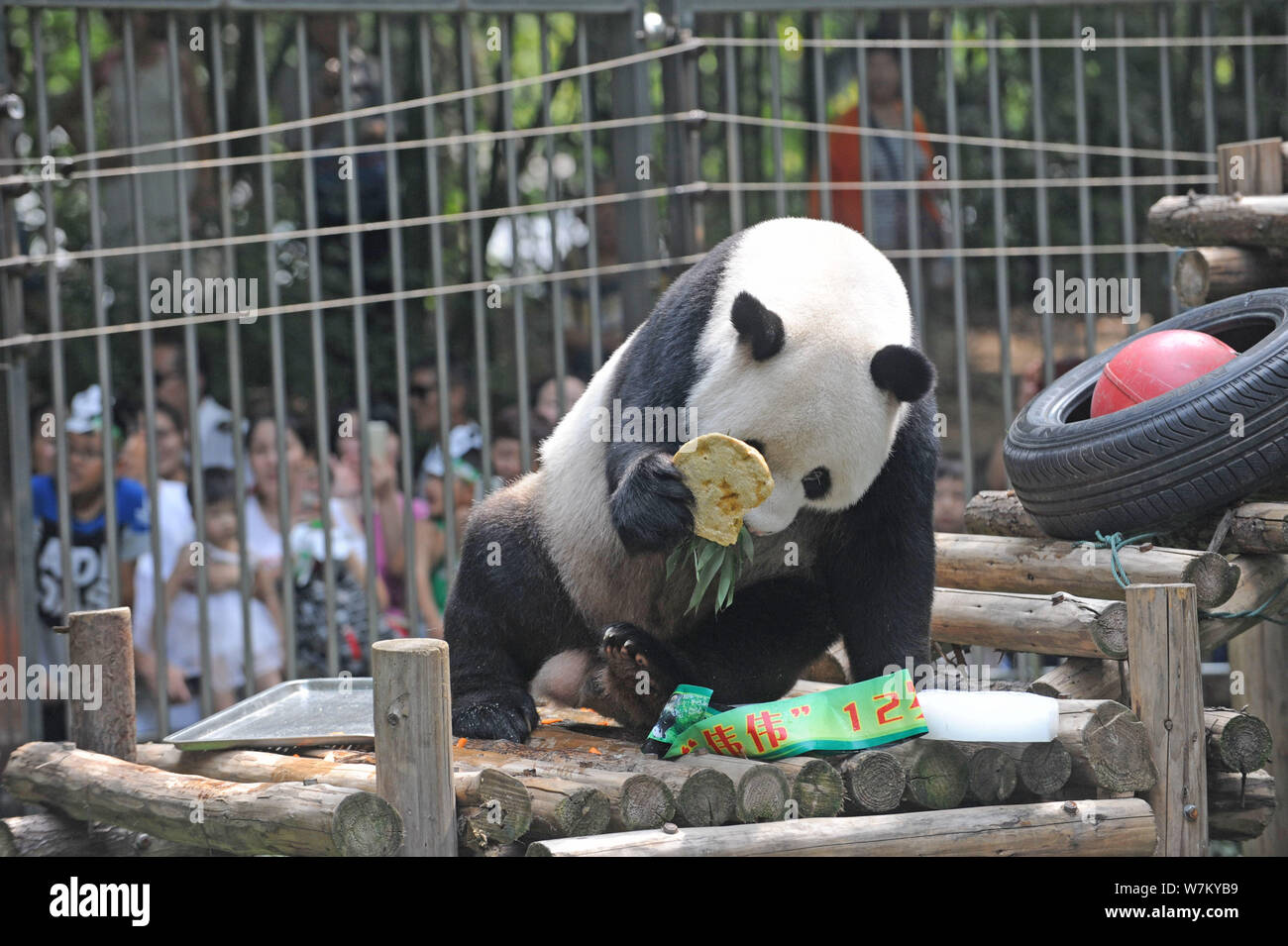 12th Birthday Banque De Photographies Et D Images A Haute Resolution Alamy