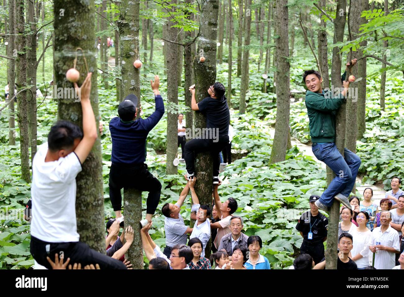 Les citoyens chinois la concurrence dans une compétition d'escalade à la montagne de Baiyun Parc national forestier de Luoyang city, province du Henan en Chine centrale, 11 au Banque D'Images