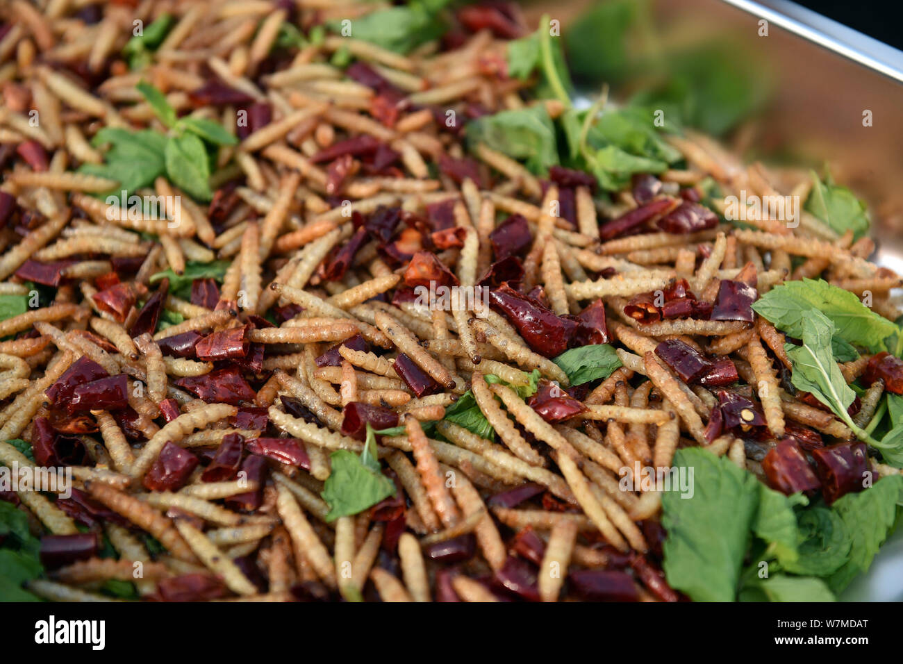 Avis de bambou fried worms pendant un défi de manger bizarre cuisines chinoises à Beijing, Chine, 13 juillet 2017. Les étrangers ont participé à un défi Banque D'Images