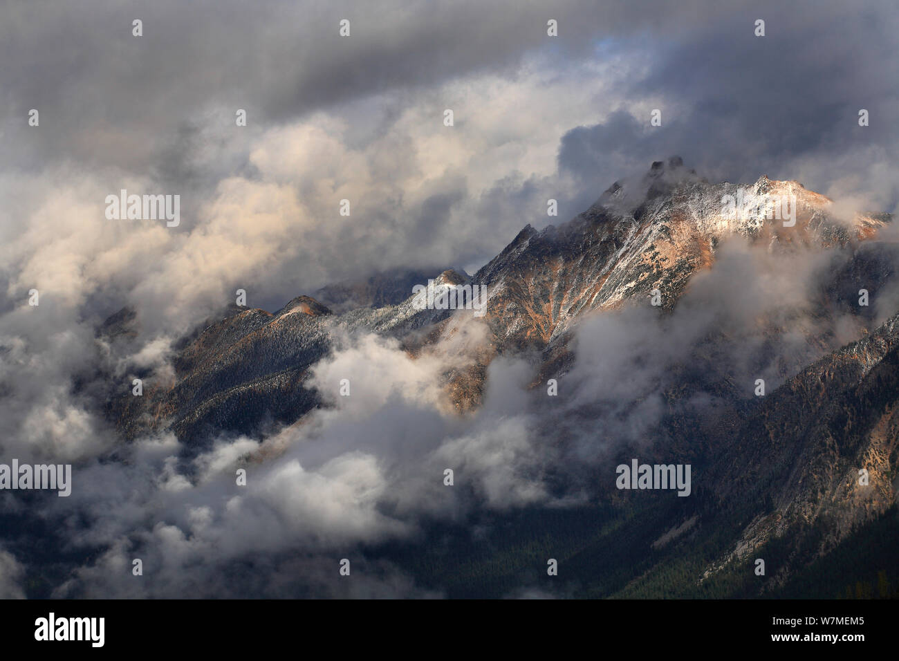 Vue de Mt.Logan Ridge dans les nuages bas de la Maple-Loop dans le sentier du col des pluies de North Cascades National Park, Cascades, Washington, USA, octobre 2009. Banque D'Images