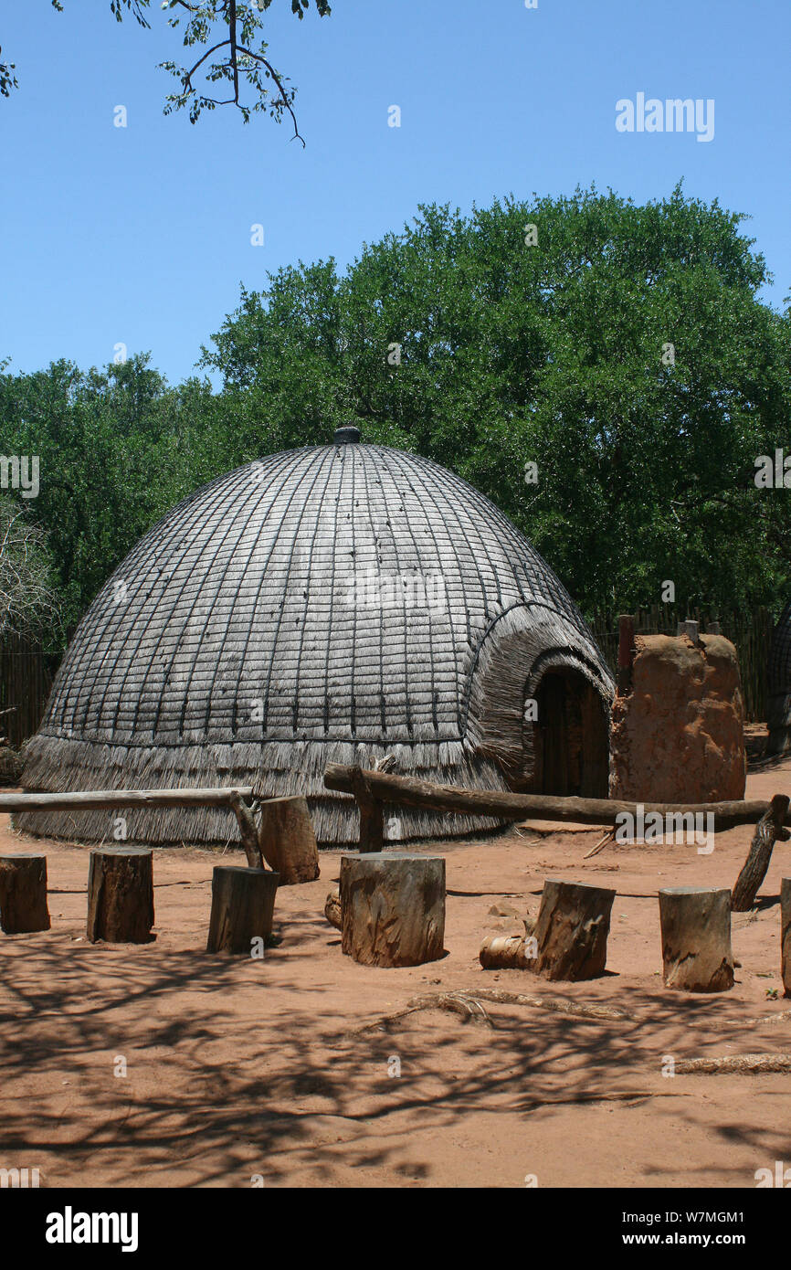 Zulu hut à Shakaland Zulu Cultural Village, Eshowe, Kwazulu Natal, Afrique du Sud Banque D'Images