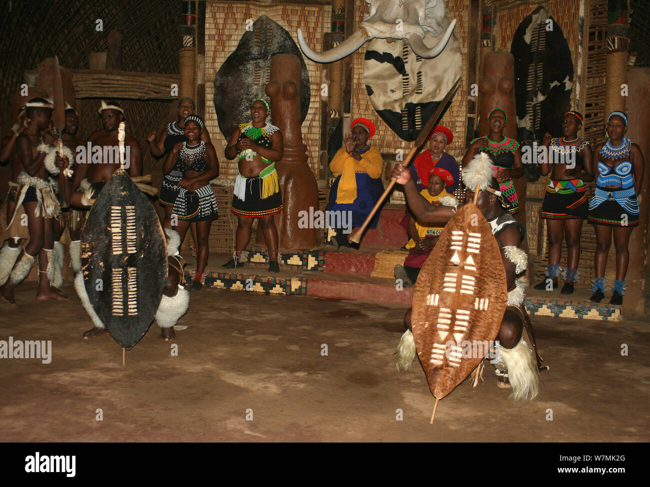 Danse traditionnelle zouloue à Shakaland Zulu Cultural Village, Eshowe, Kwazulu Natal, Afrique du Sud Banque D'Images