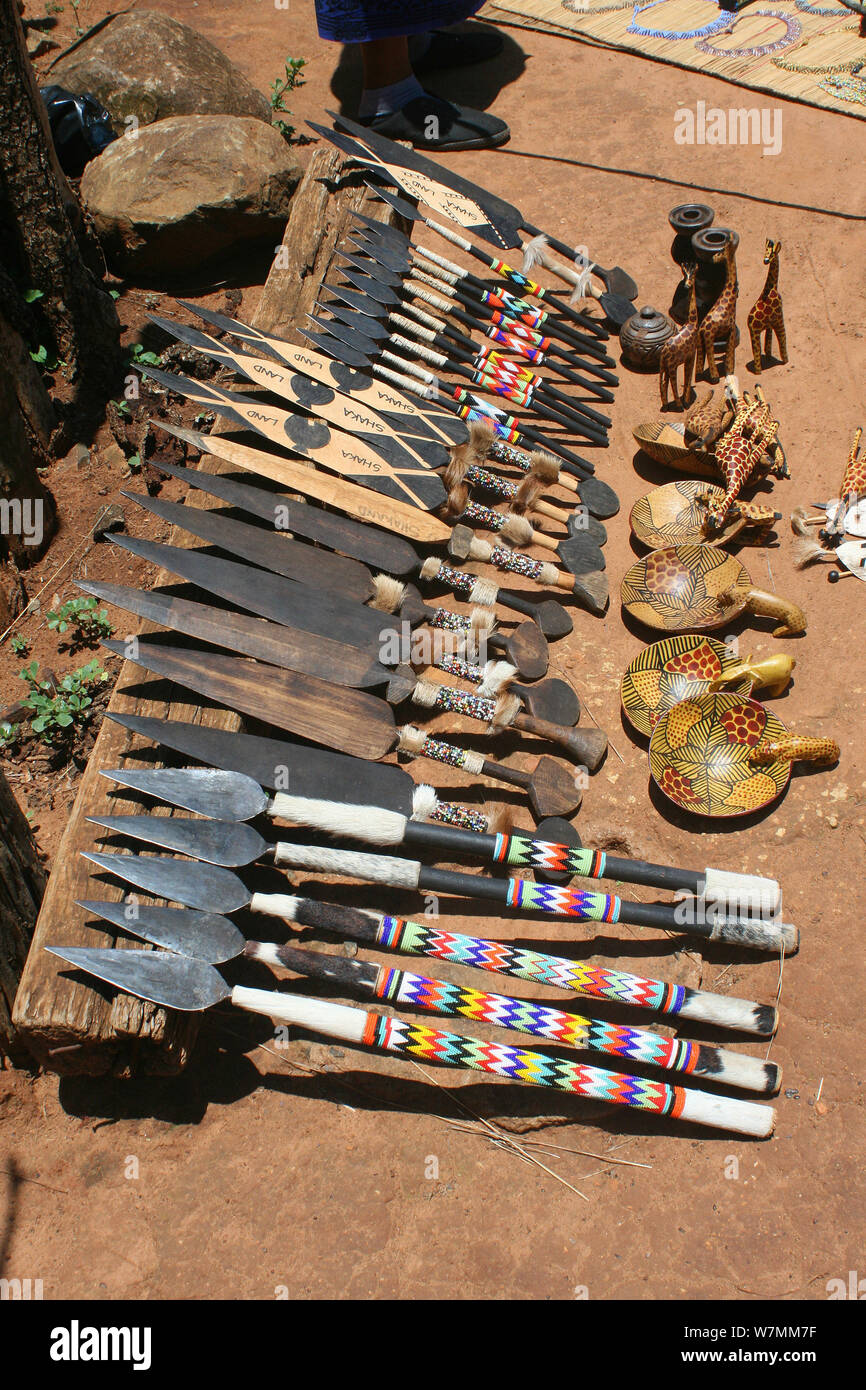 Collection de Zulu spears pour vente comme souvenirs à Shakaland Zulu Cultural Village, Eshowe, Kwazulu Natal, Afrique du Sud Banque D'Images