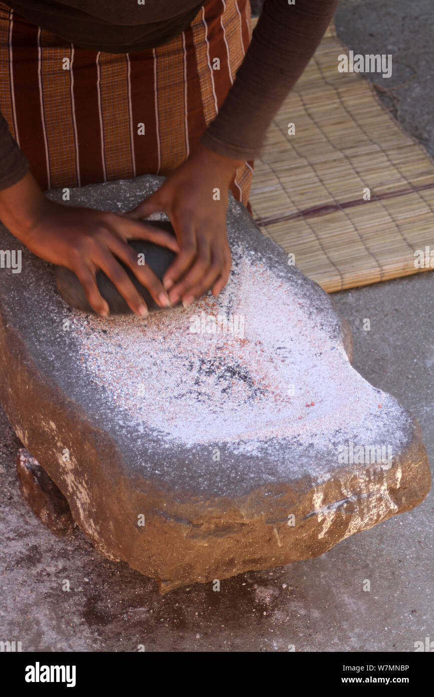 Pierre plate et lisse de la pierre noire ronde servant à moudre le maïs à Lesedi Cultural Village, berceau de l'humanité, l'Afrique du Sud Banque D'Images