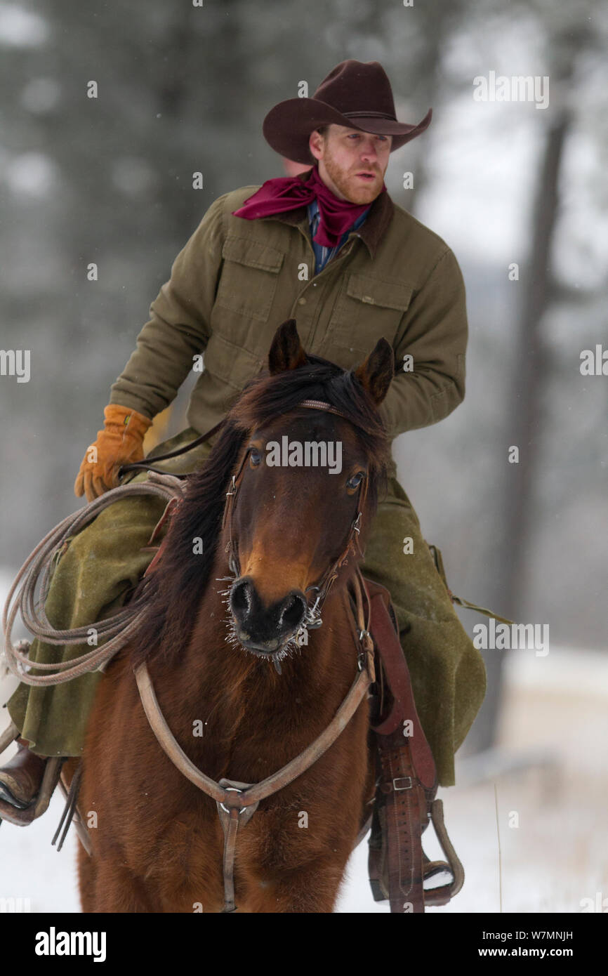 Cowboy à cheval dans la neige, Wyoming, USA, février 2012, parution du modèle Banque D'Images