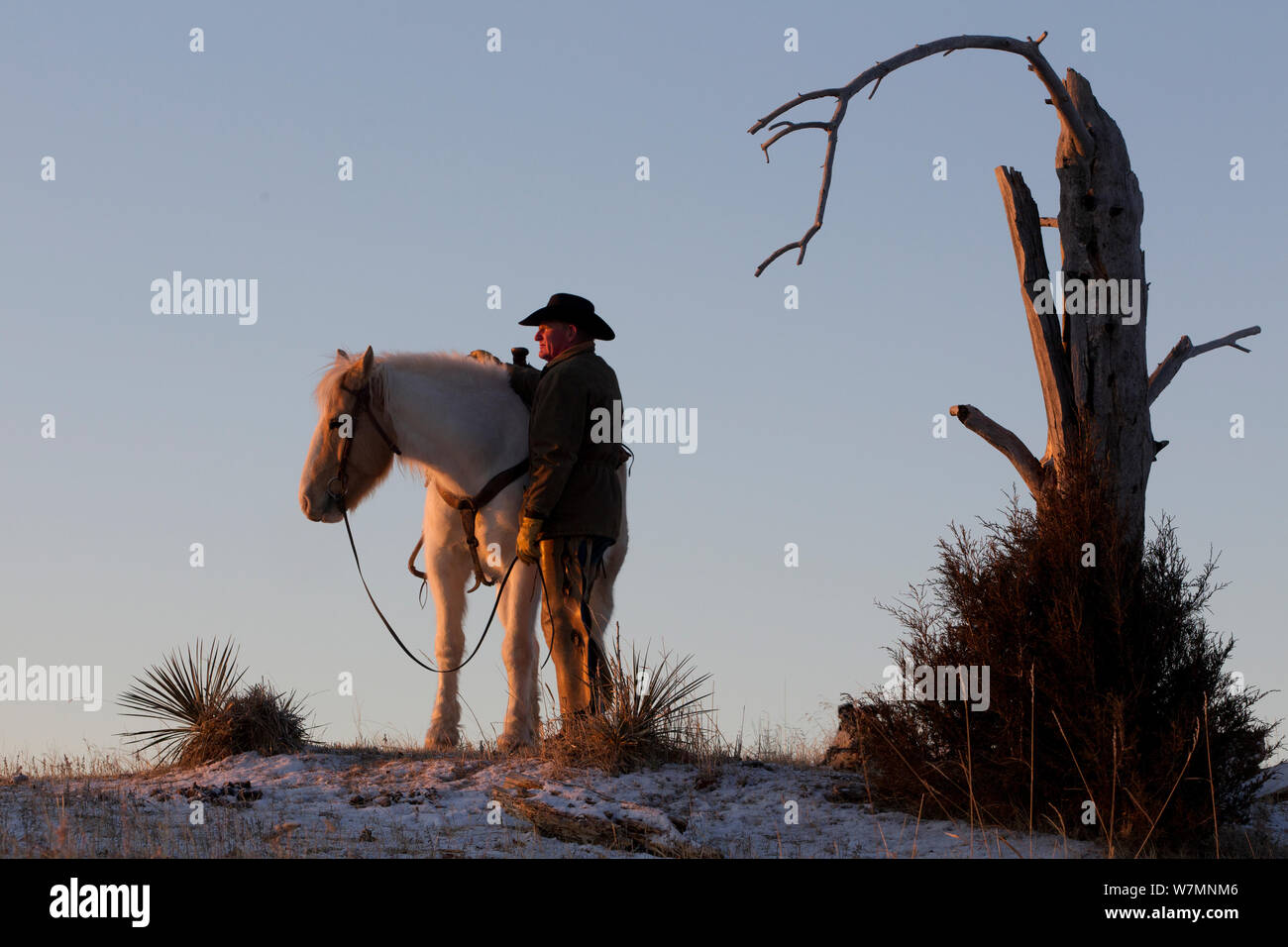 Cowboy avec son cheval à l'aube, Wyoming, USA, février 2012, parution du modèle Banque D'Images