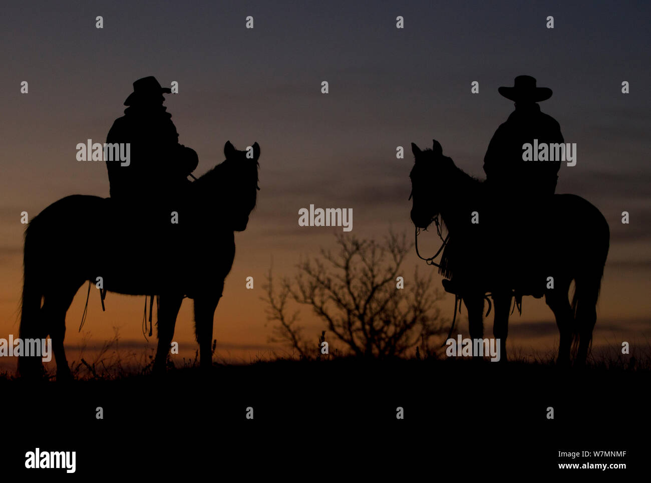 Silhouette de deux cowboys montés à l'aube, Wyoming, USA, février 2012, parution du modèle Banque D'Images