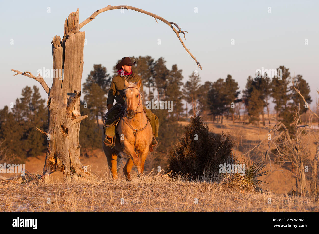 Cowboy à cheval dans le paysage, Wyoming, USA, février 2012, parution du modèle Banque D'Images