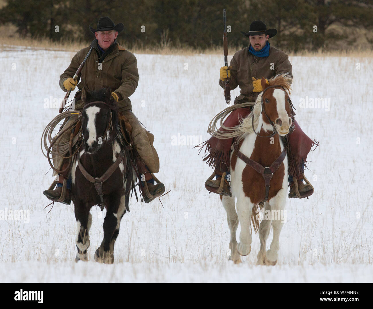 Deux cow-boys à cheval équitation dans la neige, armés de fusils, Wyoming, USA, février 2012, parution du modèle Banque D'Images
