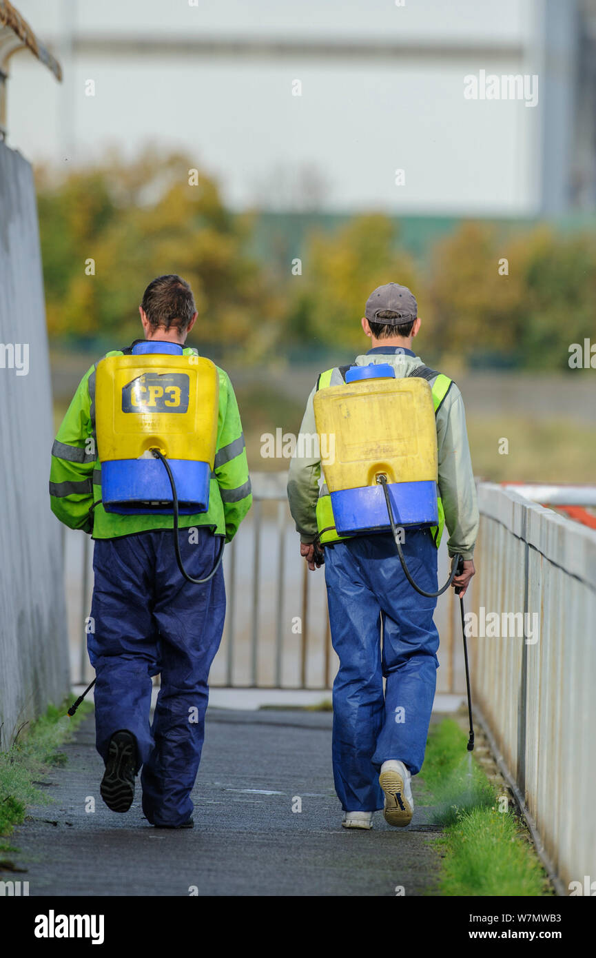 Les hommes d'herbicides pulvérisation sur la voie de la rivière Thames, London, England, UK, décembre. Banque D'Images