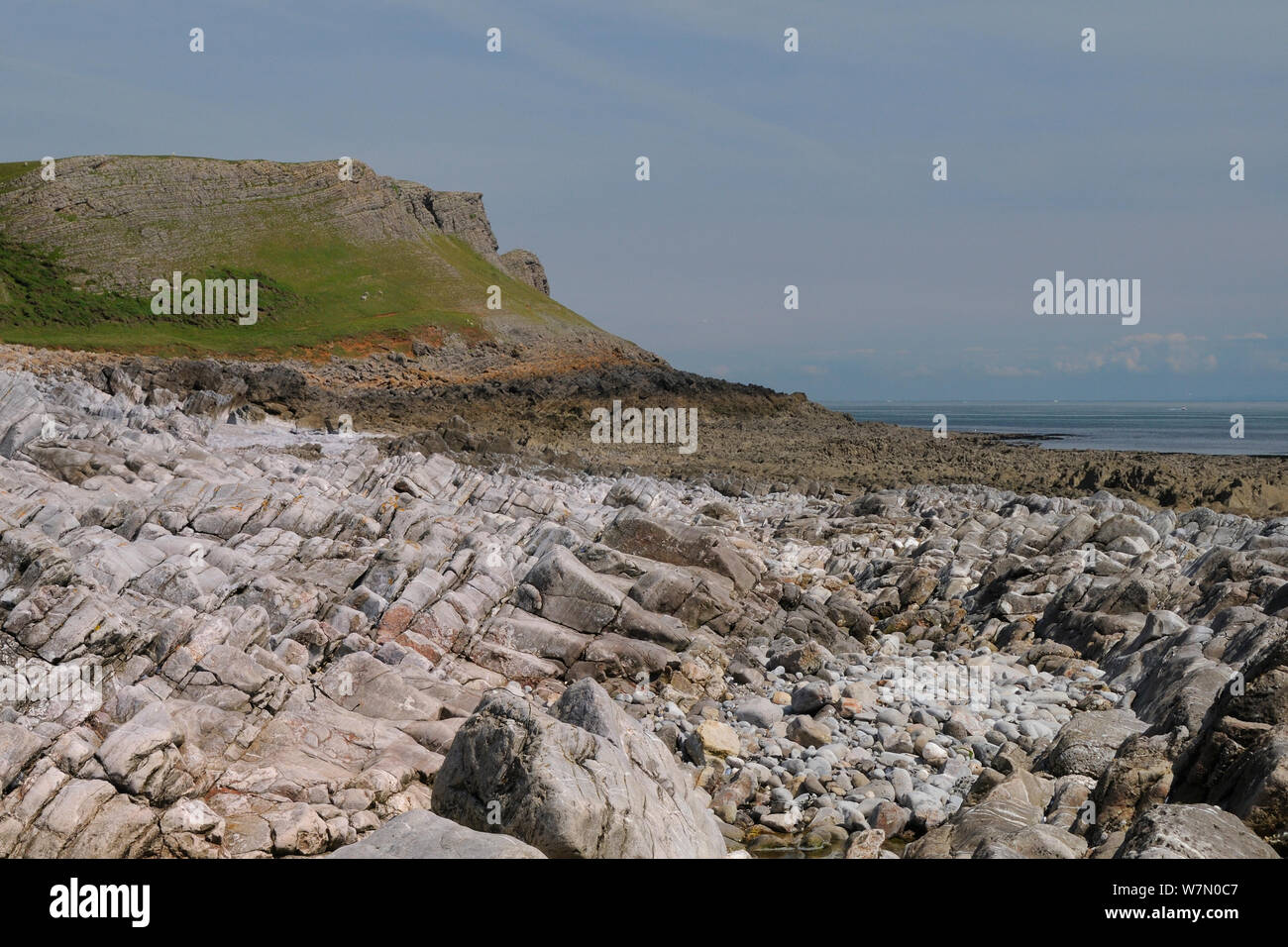 Les roches calcaires, rochers et rockpool découverte à marée basse avec des falaises érodées au-dessus, près de Rhossili, la péninsule de Gower, au Pays de Galles, Royaume-Uni, juillet. Séquence 1 de 2, l'appariement avec les marées Banque D'Images