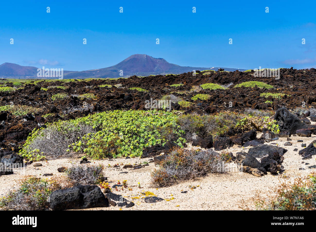 L'Espagne, Lanzarote, majestueux volcan monte corona derrière lave sans fin domaine couvert par de la végétation verte Banque D'Images