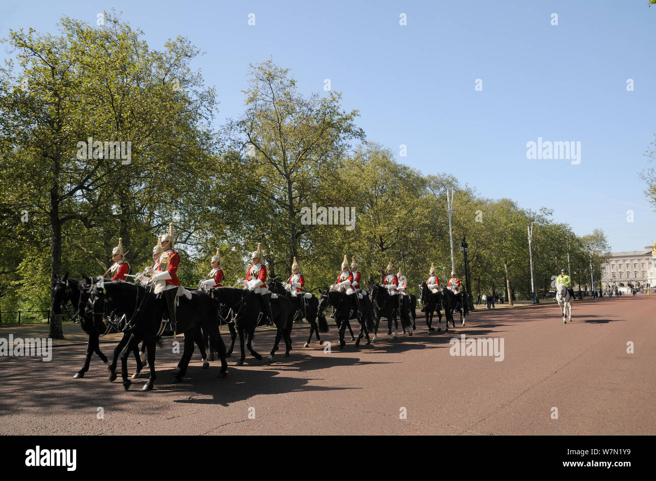 Horse Guards Parade sur le Mall, l'avenue de Londres platanes (Platanus x hispanica), avec le palais de Buckingham dans l'arrière-plan, London, UK, mai. 2012 Banque D'Images