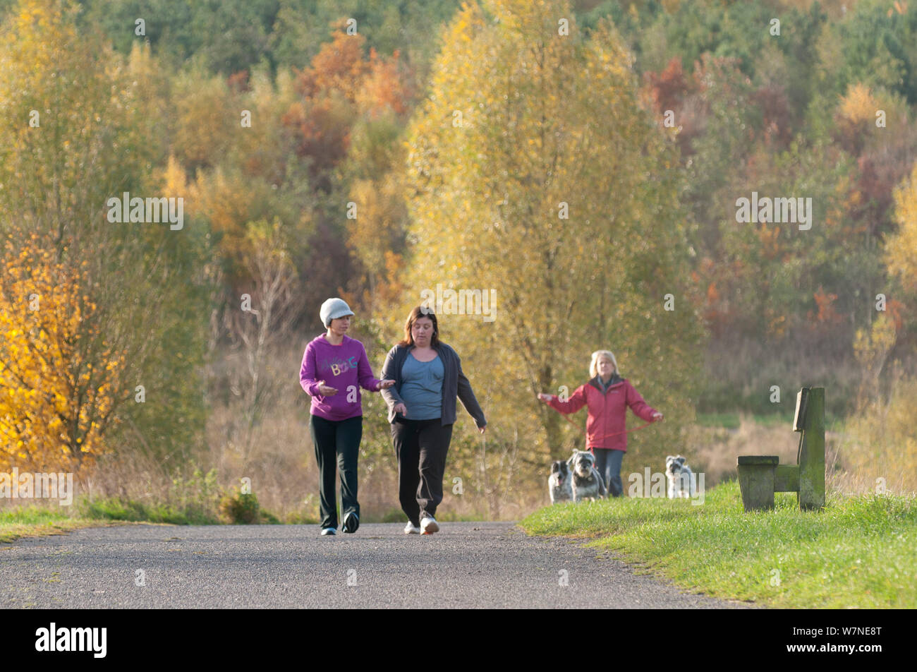 Trois promeneurs appréciant le sens Valley Forest Park, site d'un ancien charbonnage, Leicestershire, Angleterre, Royaume-Uni. Novembre 2010. Parution du modèle. Années 2020 Livre VISION Plaque. Banque D'Images