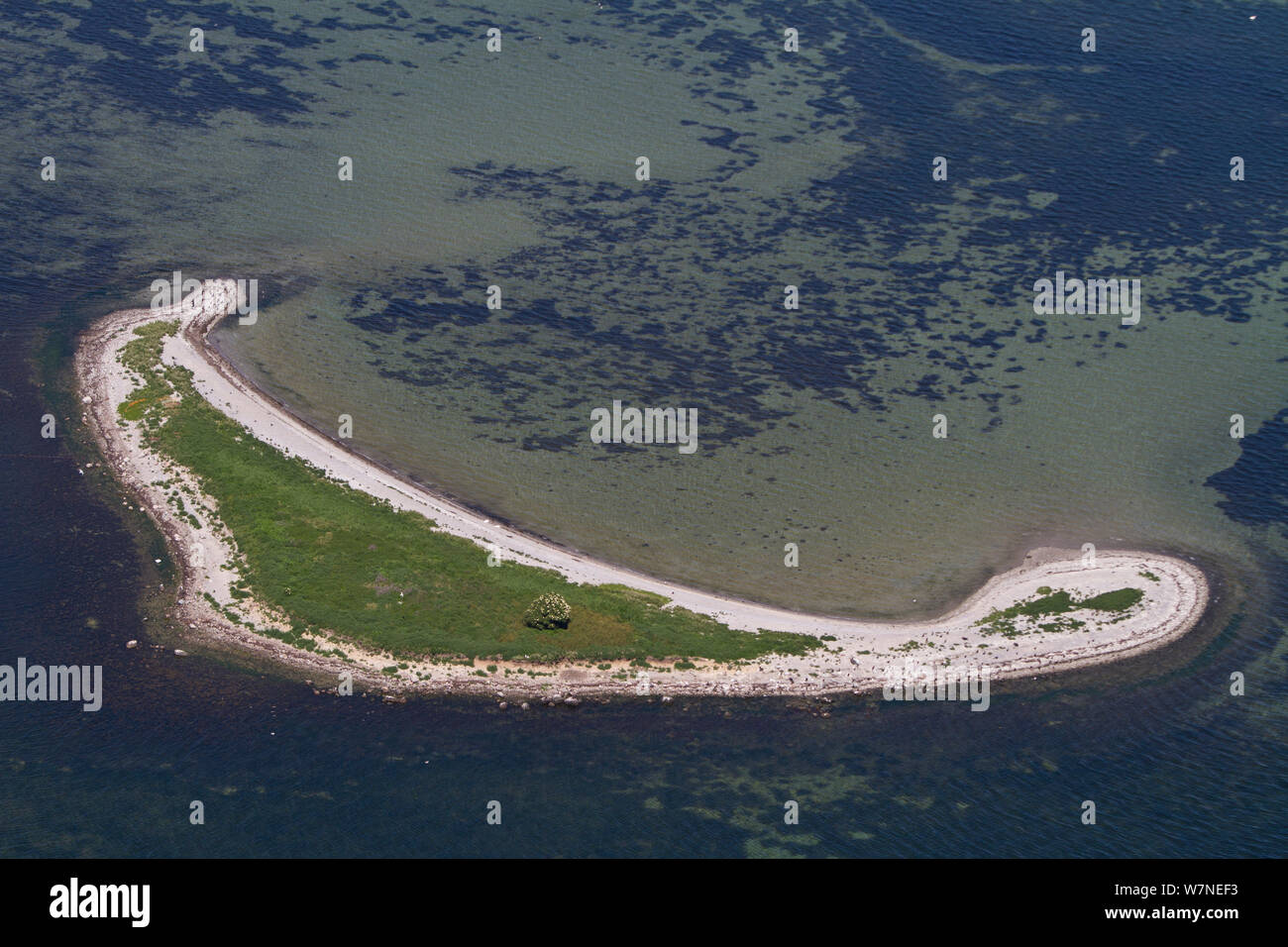 Vue aérienne de Flaeskholm, îlot dans la mer Baltique, Danemark, Juillet 2012 Banque D'Images