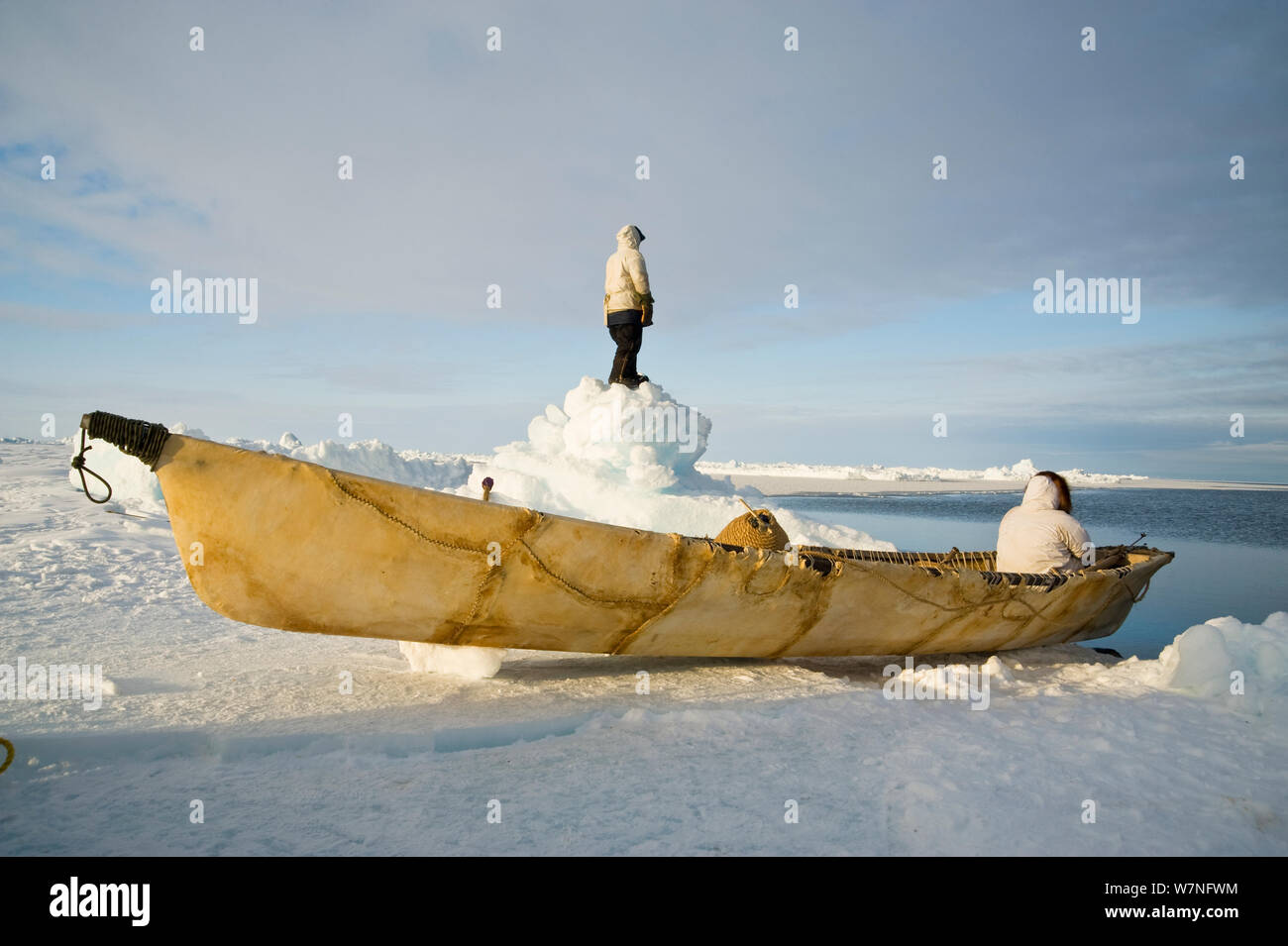 De subsistance avec les baleiniers Inupiaq l'oumiak - un bateau en peau de phoque barbu - attendre au bord d'une coupure dans la banquise et chercher des baleines. Mer de Tchoukotka, au large de Barrow, côte de l'Arctique de l'Alaska, avril 2012. Banque D'Images