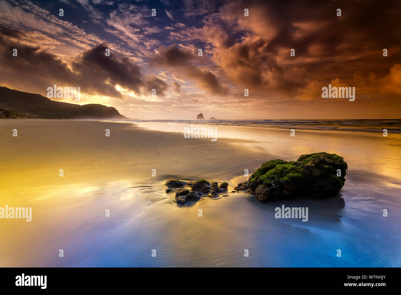 Phlébotome Bay au lever du soleil. Péninsule d'Otago, Dunedin, île du Sud, Nouvelle-Zélande. Janvier, 2012 prises avec 'Blue-n-Gold' polariseur Banque D'Images