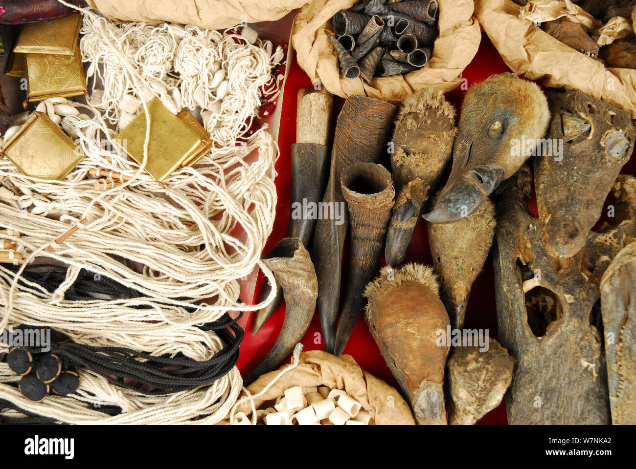 Amulettes animales pour la vente au marché de Sandaga, l'un des plus importants de Dakar. Têtes de crocodile, têtes de vautour et des cornes. Dakar, Sénégal Banque D'Images