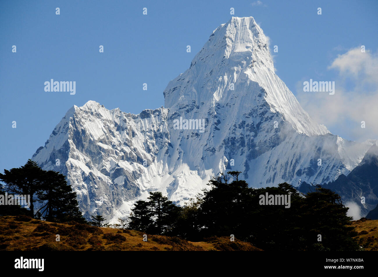 L'Ama Dablam (6856m), Parc national de Sagarmatha (Patrimoine Mondial UNESCO). Région de l'Everest / Khumbu, Népal, Himalaya, octobre 2011. Banque D'Images