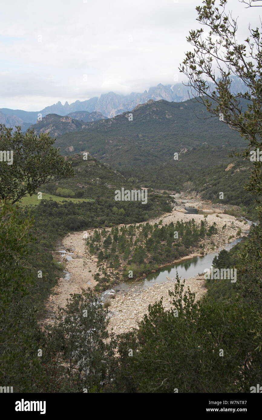 Vue de la rivière Solenzara, Parc Naturel Régional de Corse, Corse, France, avril 2010. Banque D'Images
