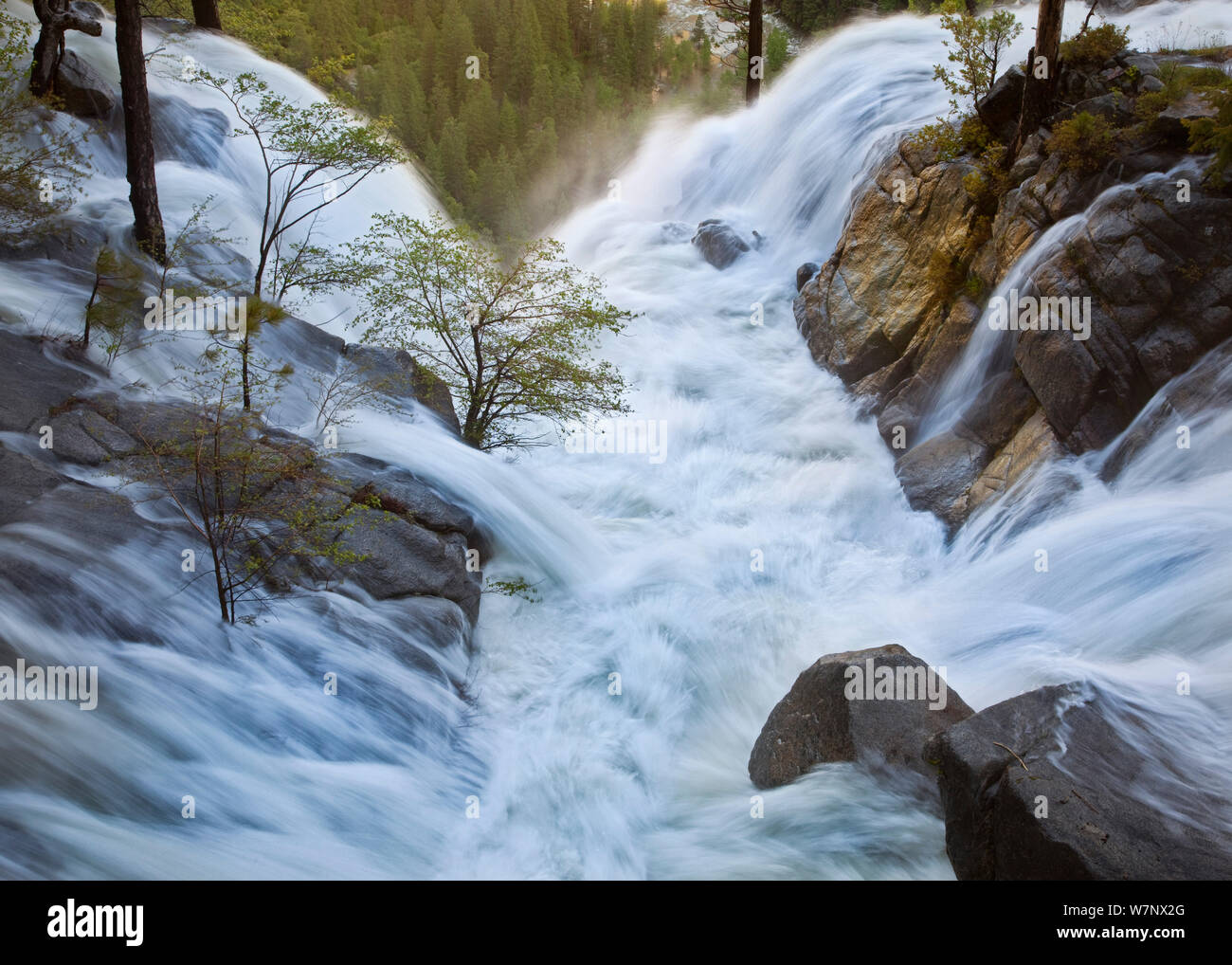 L'eau de la fonte de neige à haute altitude, créant une immense volume d'eau, la Californie Yosemite National Park, juin. Banque D'Images
