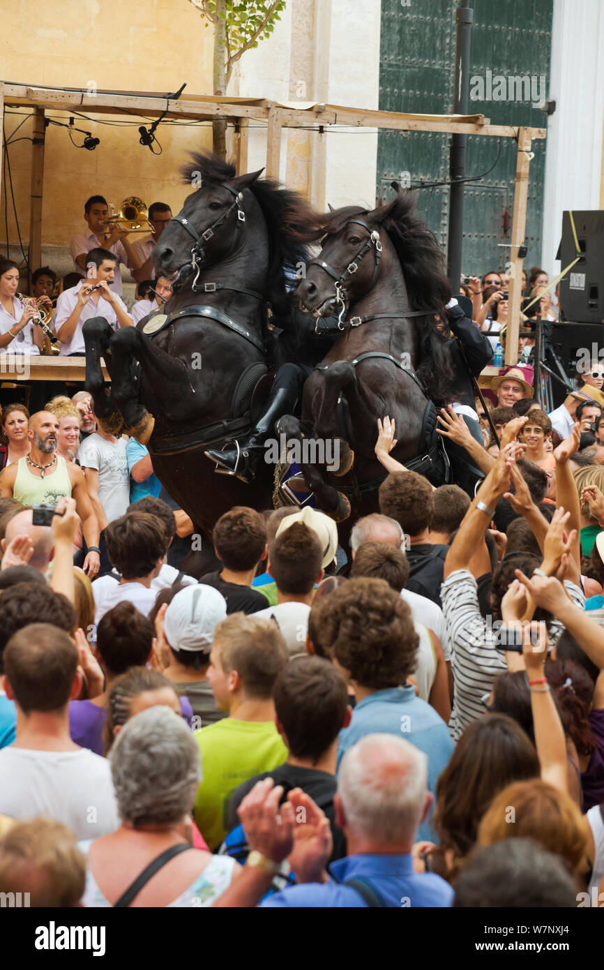 Les hommes à cheval étalons noirs, en effectuant le Menorquin bot ou la marche courbette du Doma Menorquina, durant le festival Mare de Deu de Gracia, à Mahon, Menorca, Espagne 2012. Les gens essaient de toucher le cheval, qui est destiné à apporter la bonne chance. Banque D'Images