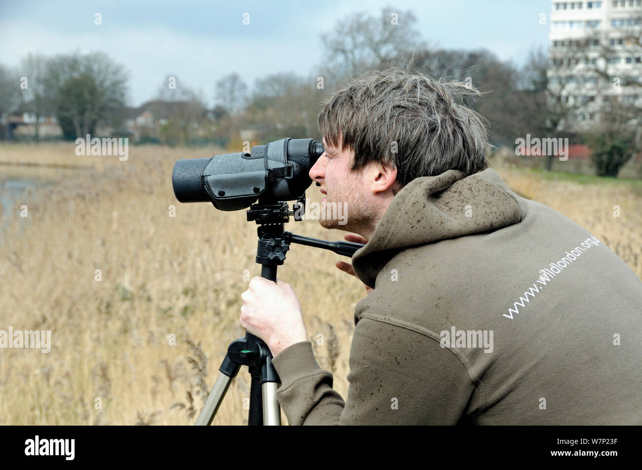 David Mooney, London Wildlife Trust directeur de l'observation des oiseaux est de Stoke Newington réservoir, London Borough of London, UK, Mars Banque D'Images