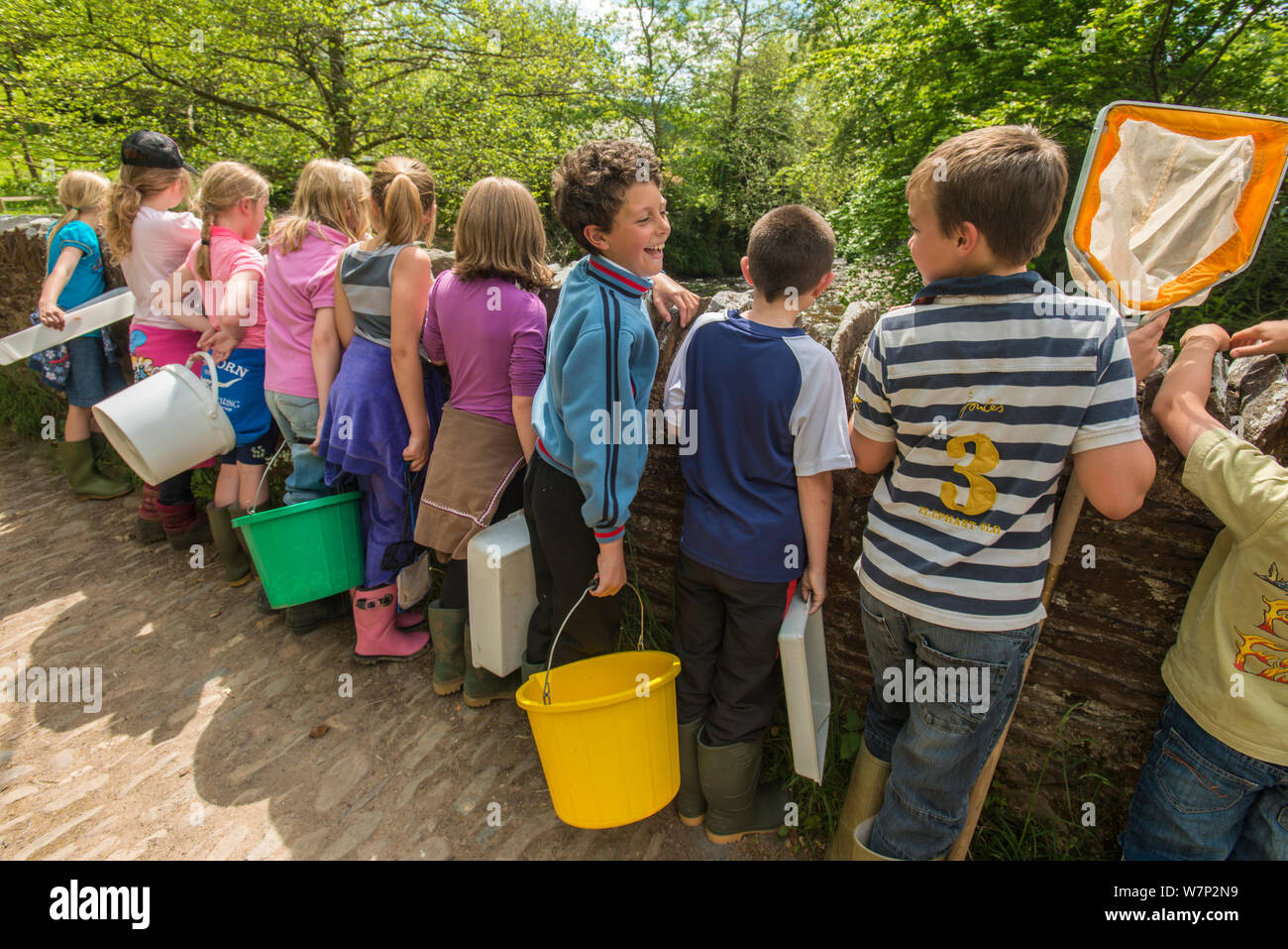 Les enfants de l'école le matériel nécessaire pour en faire le coup d'échantillonnage, d'identification des invertébrés, et libérer les alevins de saumons dans la rivière Haddeo, Bury, Parc National d'Exmoor, Somerset, Royaume-Uni. Mai 2012. Utilisez uniquement éditoriale Banque D'Images