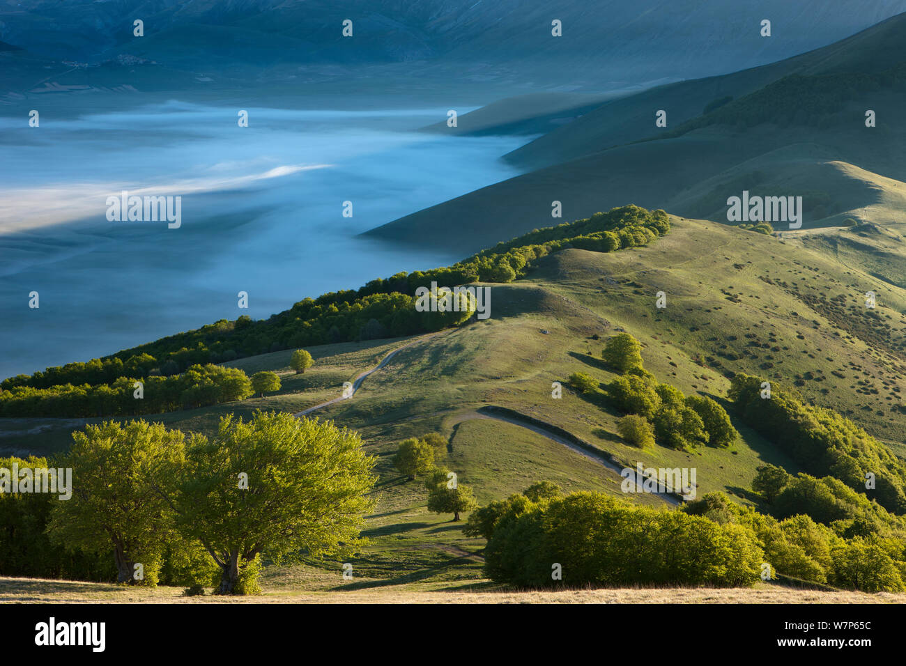 Le Piano Grande à l'aube avec brouillard couché dans la vallée, parc national Monti Sibillini, Ombrie, Italie Mai 2012 Banque D'Images