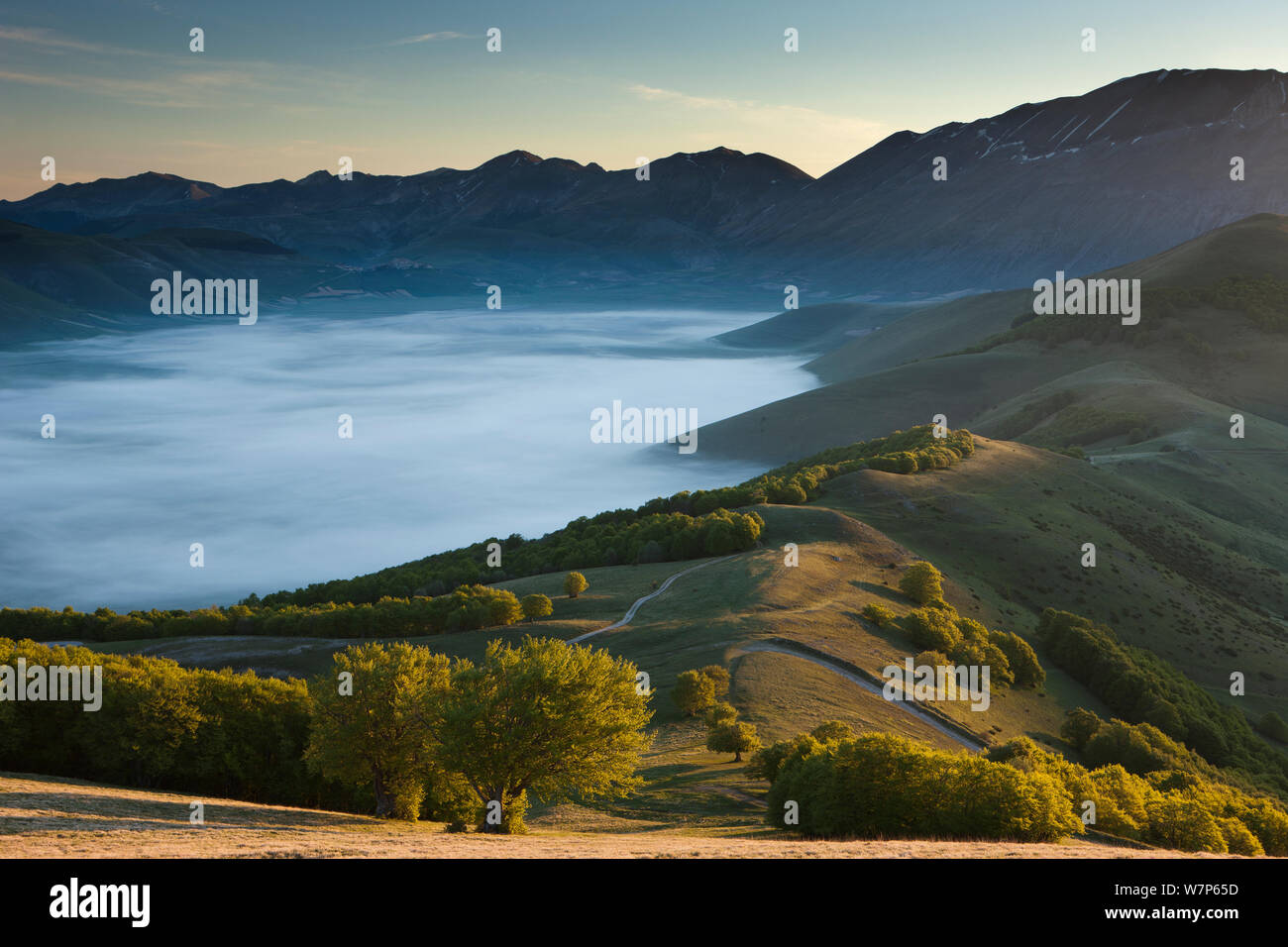 Le Piano Grande à l'aube avec brouillard couché dans la vallée, parc national Monti Sibillini, Ombrie, Italie Mai 2012 Banque D'Images