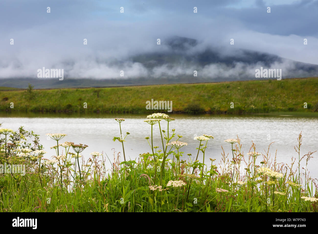 Paysage sur l'île de Skye, Royaume-Uni Banque D'Images