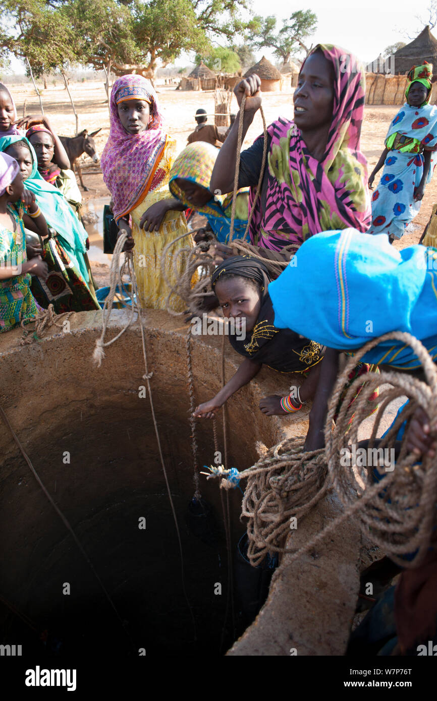 Gula tirent l'eau des femmes, bien qu'ils sont à l'origine arabe du Maghreb, descendants du Soudan. Eau précieuse est tiré d'un bien commun chaque jour par les femmes et les filles dans le village de bon, Parc National de Zakouma (Tchad). 2010 Banque D'Images