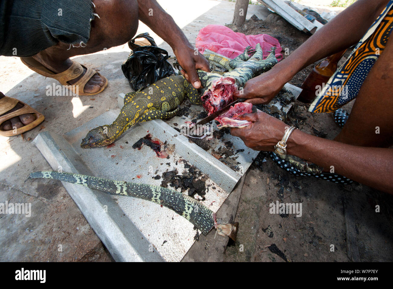 Marché de la viande de brousse : Varan (Varanus ornatus) viande d'être massacrés par le marchand, de la ville de Gamba, Ogooue-Maritime / Nyanga, Gabon, février 2009 Banque D'Images