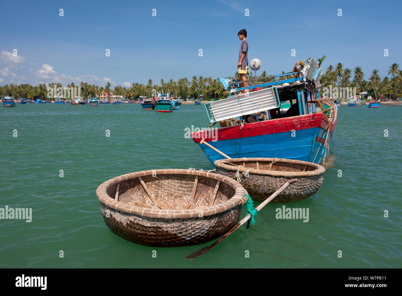 Bateaux de pêche style coracle ronde en Baie du Cumon, Vietnam. Banque D'Images