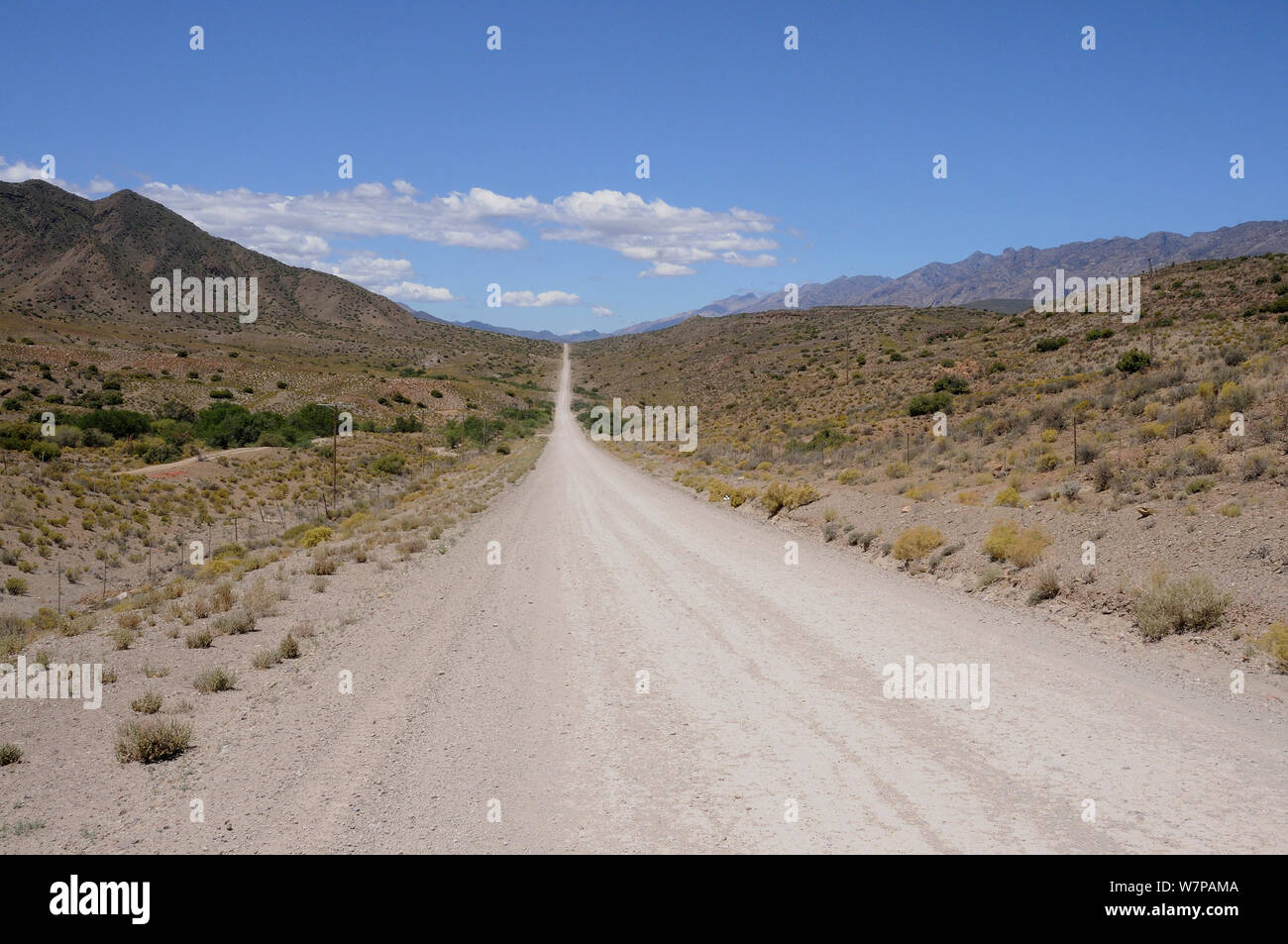 La route de Lainsburg à Calitzdorp, Little Karoo, Western Cape, Afrique du Sud, Novembre Banque D'Images