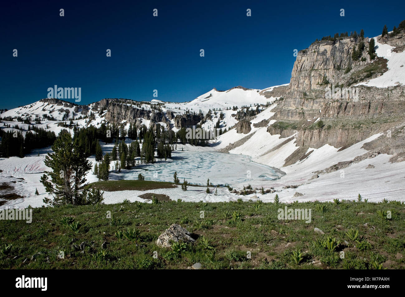 Lac Marion, gelés, Teton Crest Trail à Grand Teton National Park. Wyoming, USA, Juillet 2011 Banque D'Images