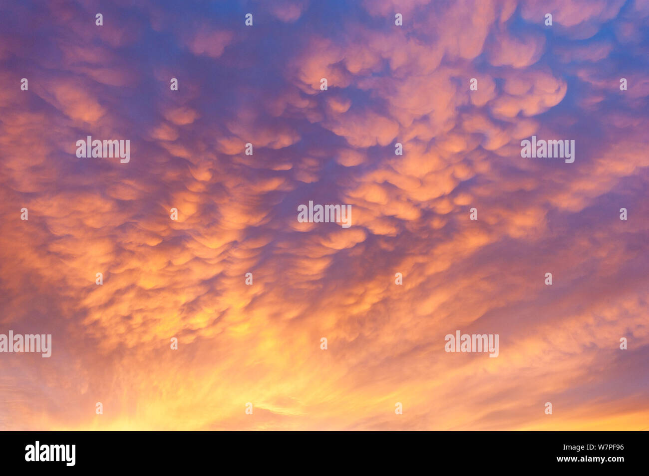 La formation de nuages Mammatus, Brechin, Ecosse, février 2012. Banque D'Images
