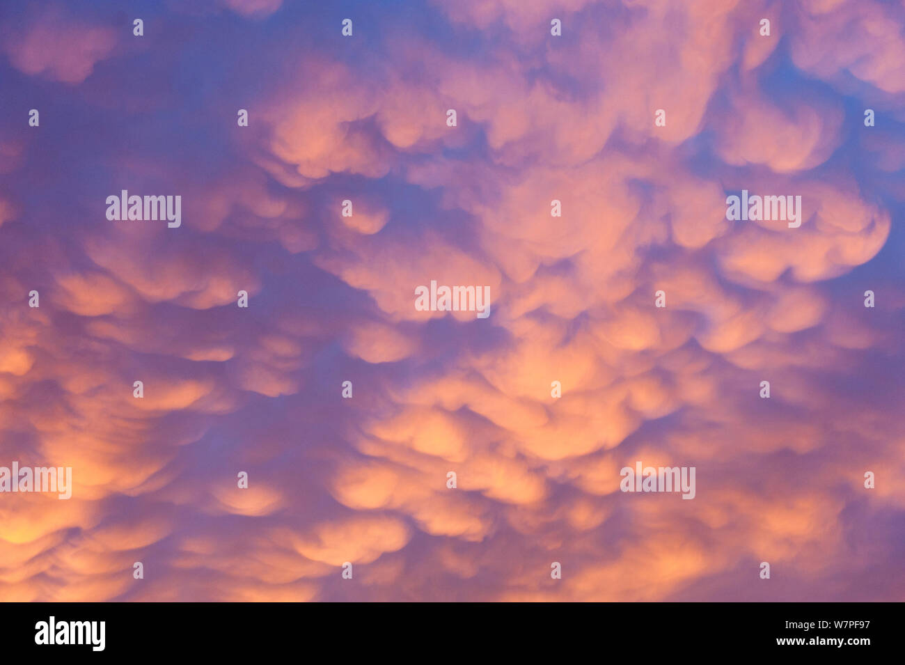 La formation de nuages Mammatus, Brechin, Ecosse, février 2012. Banque D'Images