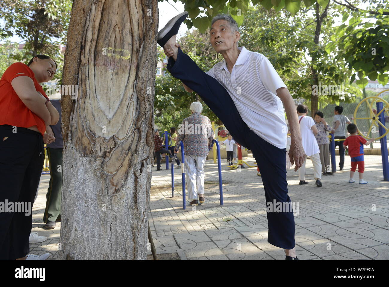 80-year-old man chinois Wang Zhongwei est illustrée comme il ne les groupes s'appuyant sur un arbre pour faire des exercices du matin à Taiyuan city, North China's Shanx Banque D'Images