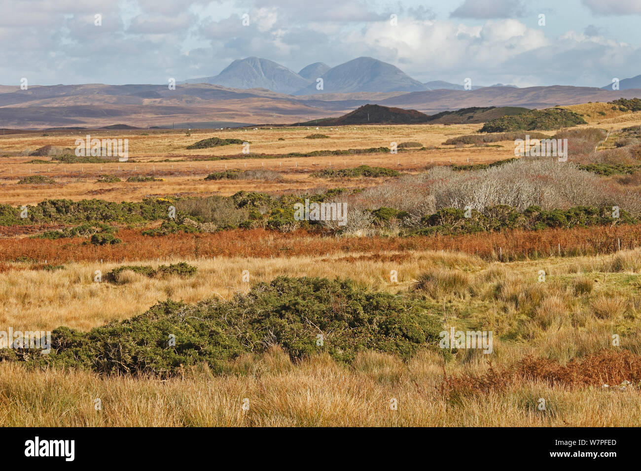 Vue sur paysage d'automne sur l'île d'Islay près de Loch Gorm, à l'est avec le Paps of Jura dansle contexte Ecosse, Royaume-Uni, octobre Banque D'Images