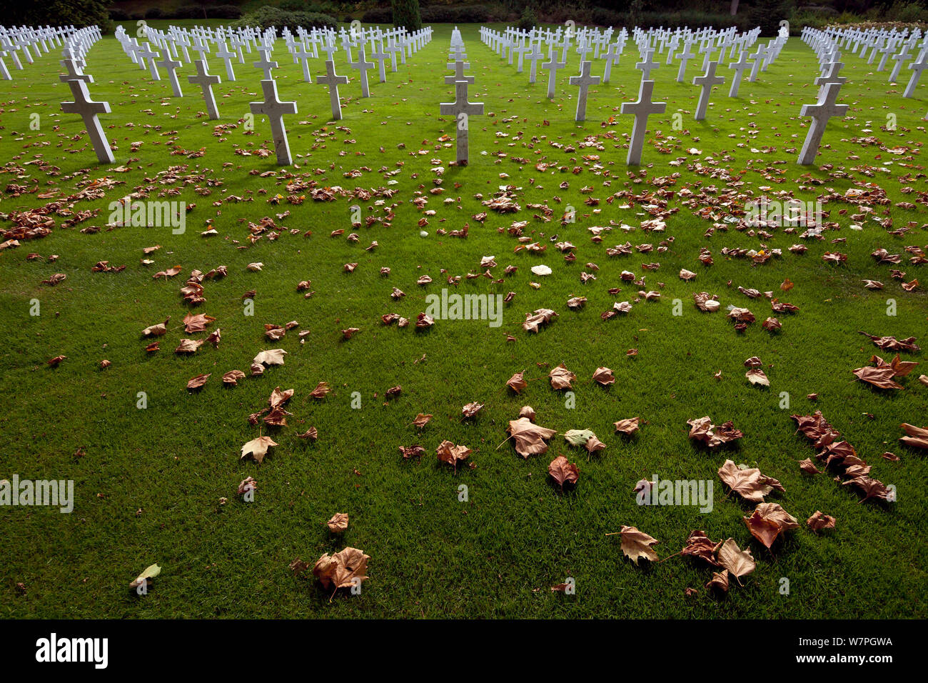 Les tombes des soldats américains qui sont morts dans la Première Guerre mondiale, soit en juin et juillet 1918, bois Belleau, France, septembre 2012 Banque D'Images