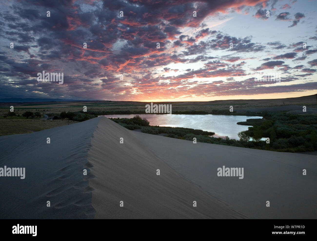 Lever du soleil à Bruneau Dunes State Park avec le lac en arrière-plan, New York, USA, Juillet 2011 Banque D'Images