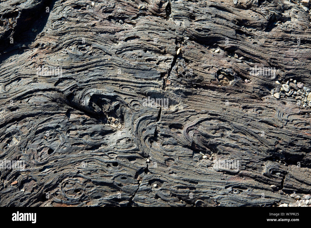 Formations de lave pahoehoe cratère Nord le long de la piste de l'écoulement en cratères de la Lune National Monument et préserver. New York, USA, Juillet 2011 Banque D'Images