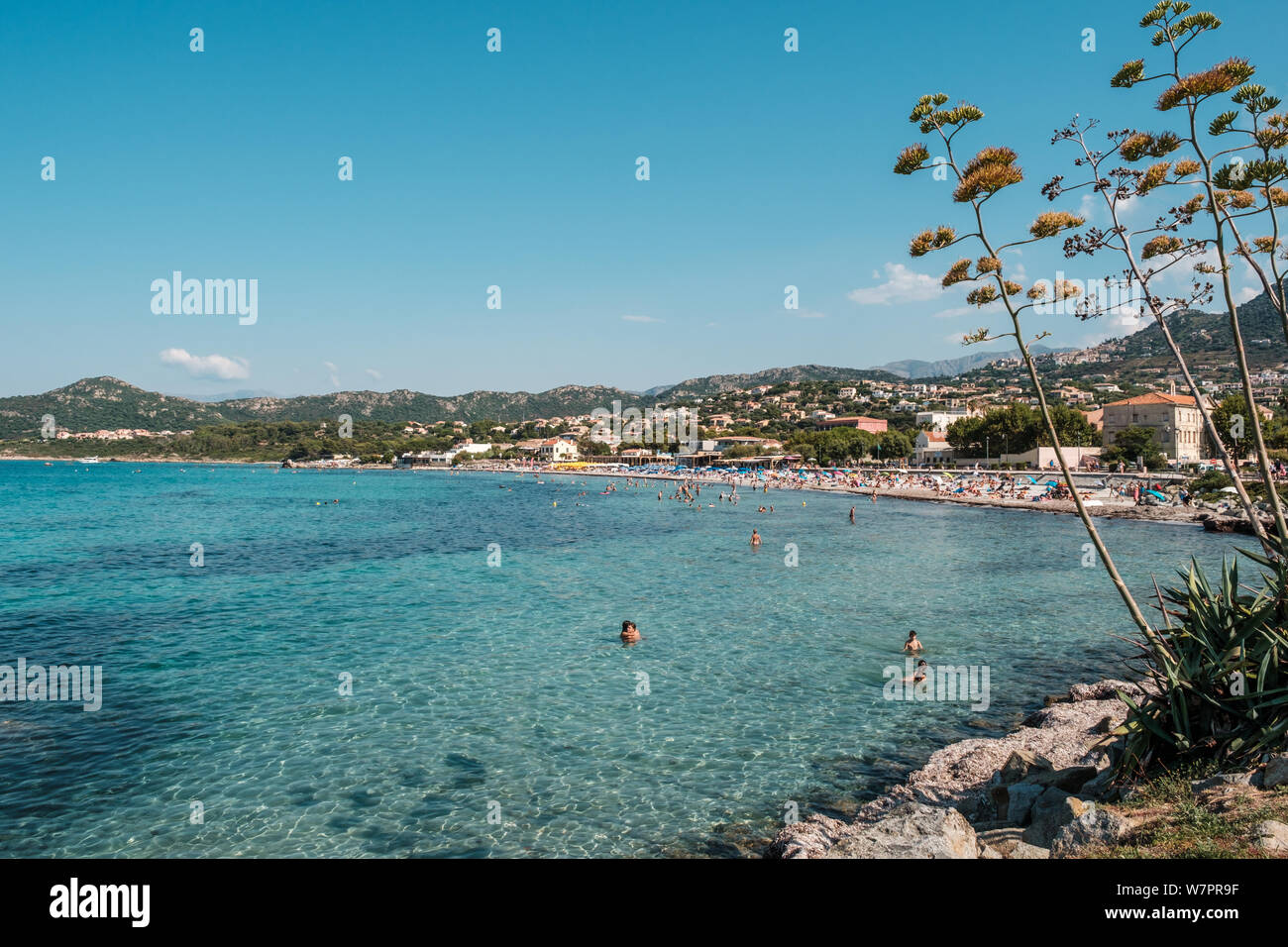 L'Ile Rousse, Corse, France - 6 août 2019. Une plage bondée de vacanciers profiter du soleil à l'Ile Rousse en Balagne Corse Banque D'Images